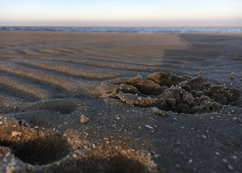 Spur im Sand