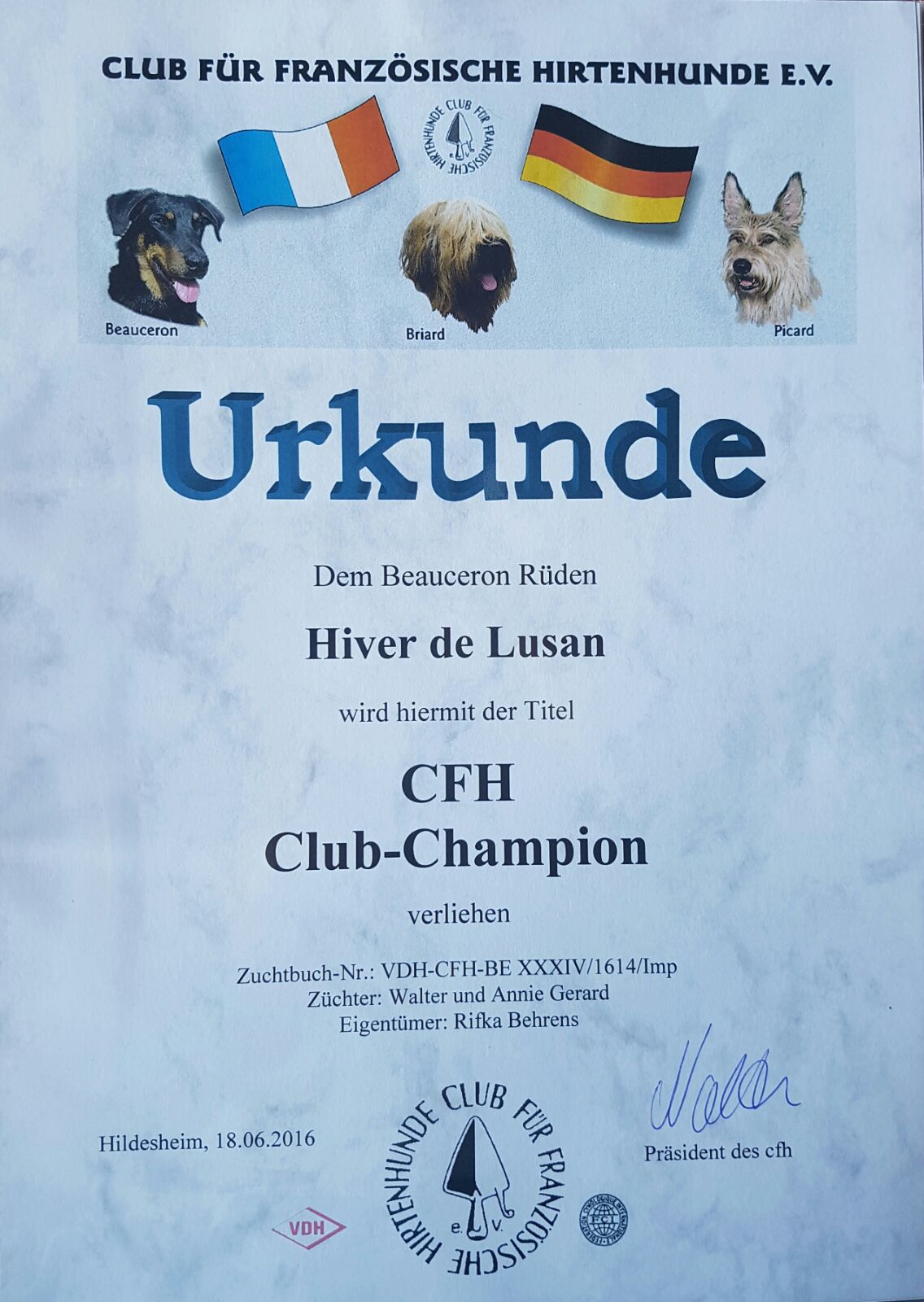 Hiver wird am 18. Juni zum Champion des CfH benannt.