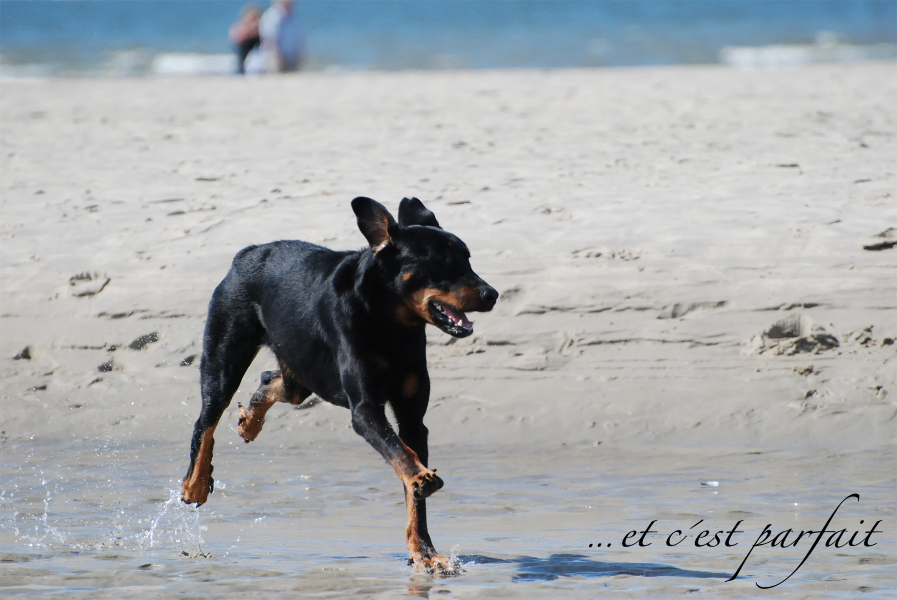 Cleo gibt Gas am Strand