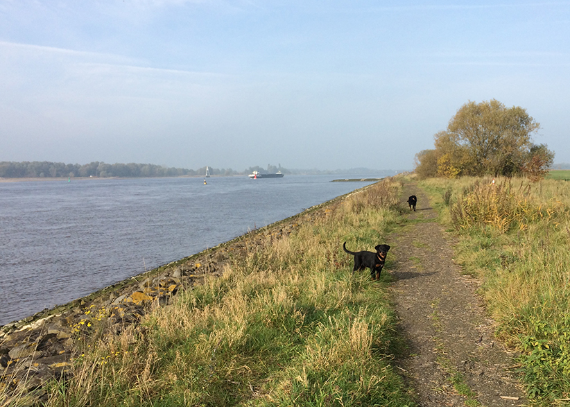 Spazieren an der Weser.